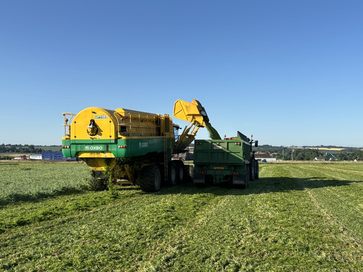 Chipping away at the 🫛 what a season to remember!