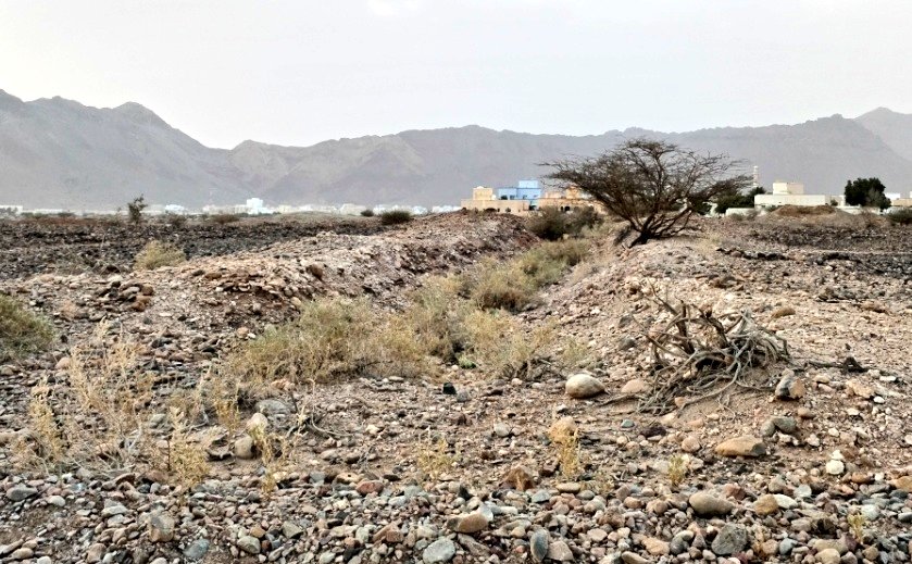 توثيق جانب من بقايا قنوات حجرية لفلج الحيلي بمنطقة حيل فرق
شيدت بأحجار منقولة من مرتفعات جبل الحوراء،مقطعة للاصطفاف في الضواحي الطينية على المنخفض الأرضي
و عرض الساقية يقارب المتر و يدل على غزارة منسوب الفلج،و يوازيها ممر مشاة من كبس الحصى،بمستوى أعلى بقليل عن الطين المزروع قديما