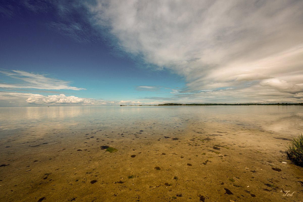 TedGrzelka's tweet image. Watching the ocean's edge shift with the rising tide. Have a wonderful day, friends.