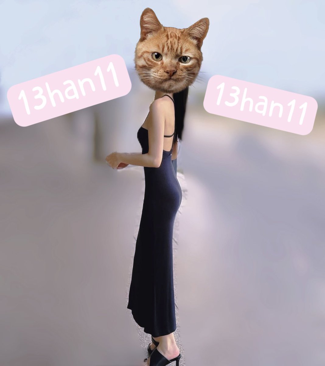 WY🌹🇹🇼 tweet media