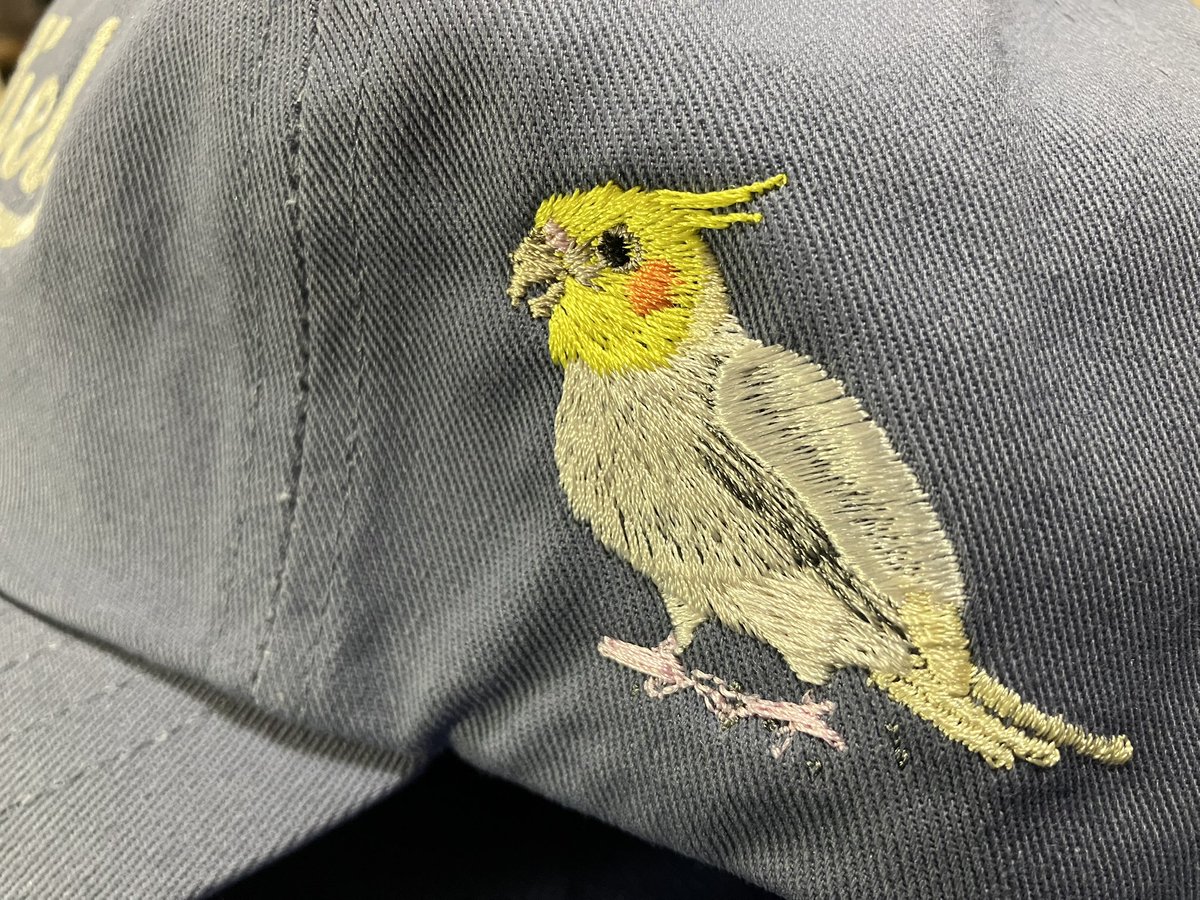 ahirudon's tweet photo. 今年も小鳥ガーデンに参戦して参りました。
戦利品は…オカメの刺繍をあしらったキャップです。
私、家人共に気に入ったので、そろぞれにクーさんとグーさんで計4つです（笑）
これでウォーキングが楽しくなります♪
#小鳥ガーデン
#アトリエリジッタ https://t.co/3kWHn6WOKg