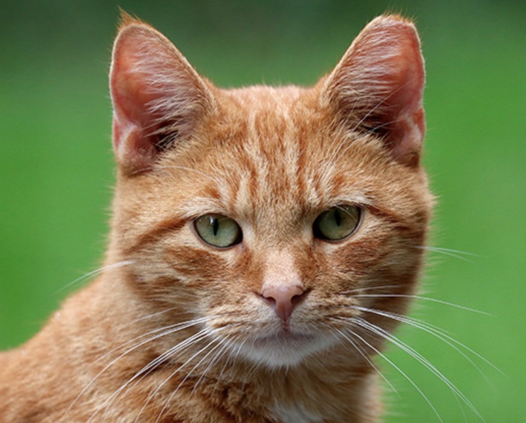 banditxbt tweet media