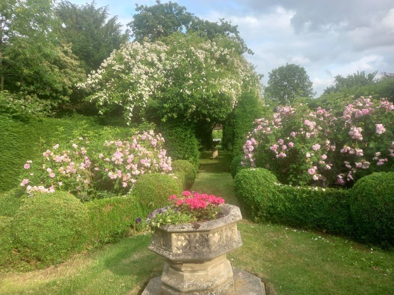 WarksNGS's tweet photo. Avon Dassett has six gardens open to visitors this Sunday!

Avon Dassett, CV47 2AE
Sunday 6th July, 1 - 5pm
Admission (covers entry to all gardens) £7, children free
Refreshments available!
Please park in cemetery car park at top of hill, or where signed 

https://t.co/IiginCTYK7 https://t.co/JP02Blc6pe