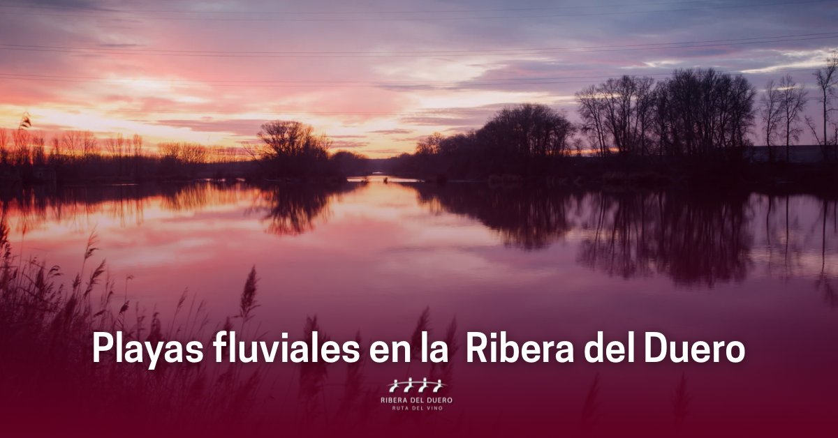 La Ribera del Duero ofrece numerosos paraísos fluviales perfectos para desconectar, escapar del calor y disfrutar de la naturaleza.

Descubre todos aquí 👉f.mtr.cool/cjregbmbpq

#riberadelduero #rutariberadelduero #veraneaconRiberadelDuero #planes #turismo #turismointerior