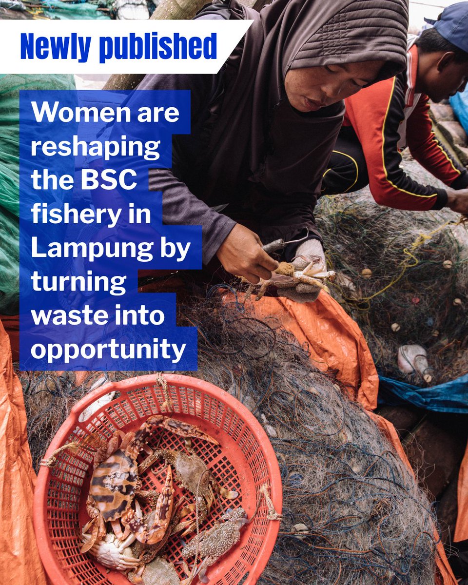 What happens when #women are given space to take part in #fisheries management? 🦀🌊

In Lampung, women are turning crab shell waste into opportunity, boosting livelihoods &amp; gaining a seat at the table. 
🔗 Read our newly published article: bit.ly/3GuHMoD <a href="/EDFOceans/">EDF Oceans</a>