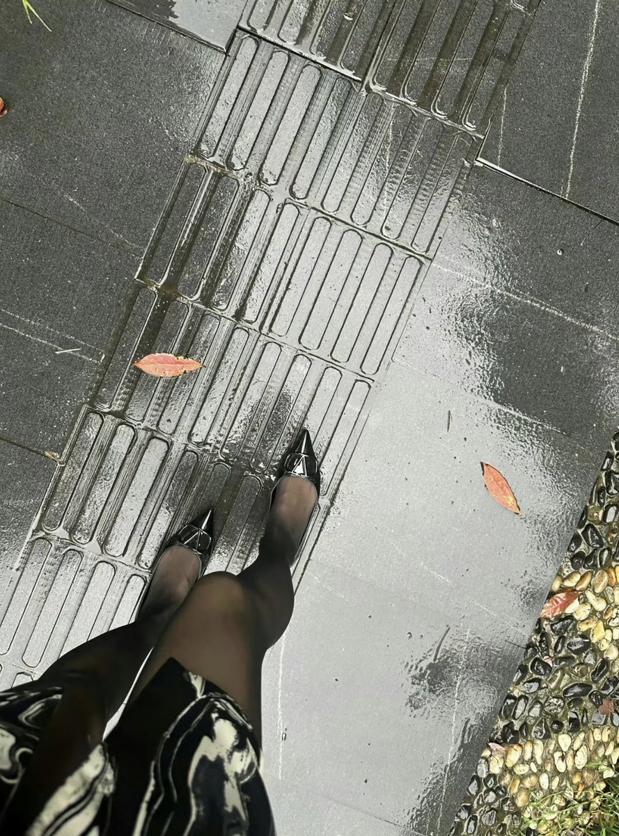 shadow tweet media