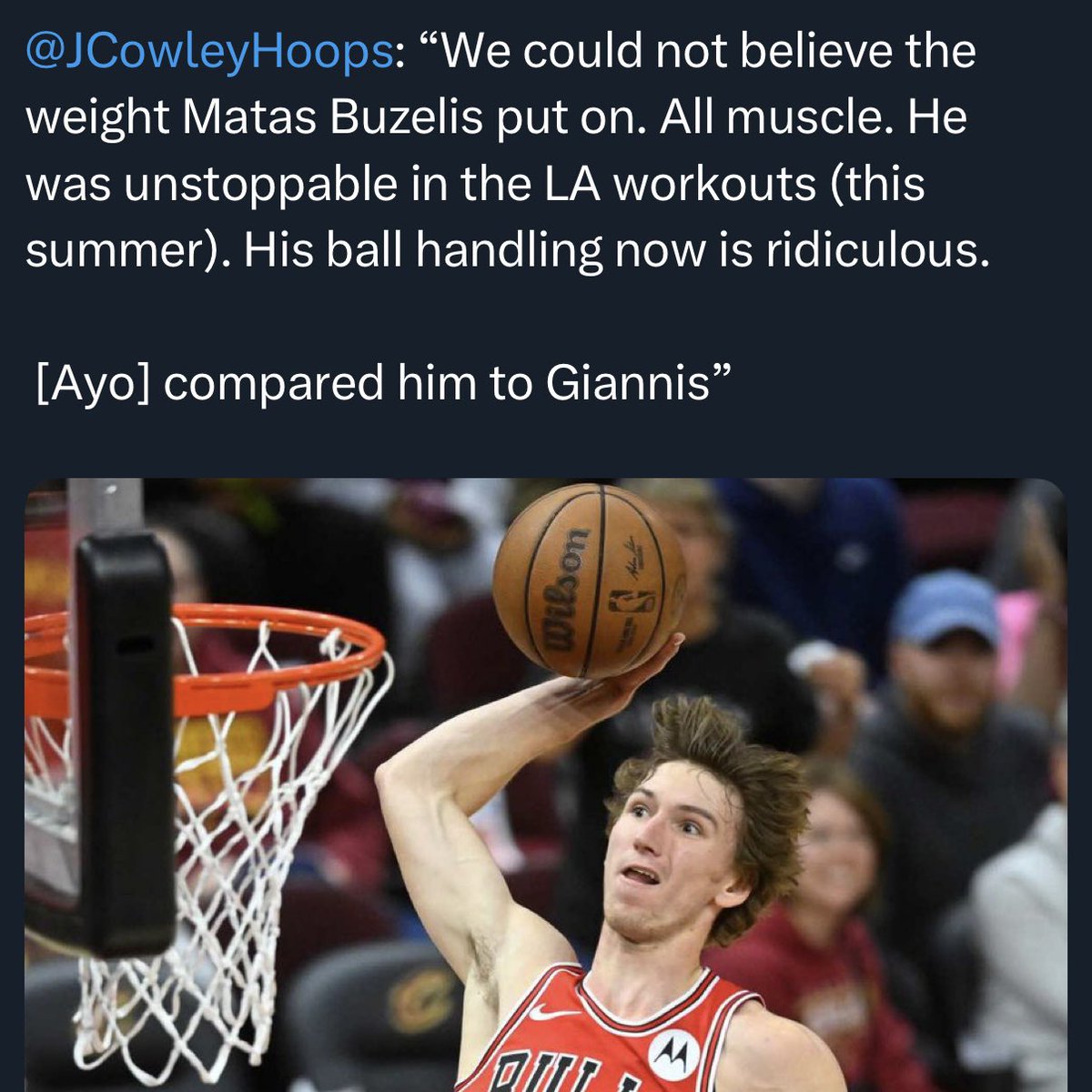 SavantHoops's tweet photo. #matas will have a breakout season https://t.co/s7N4o7ELf0