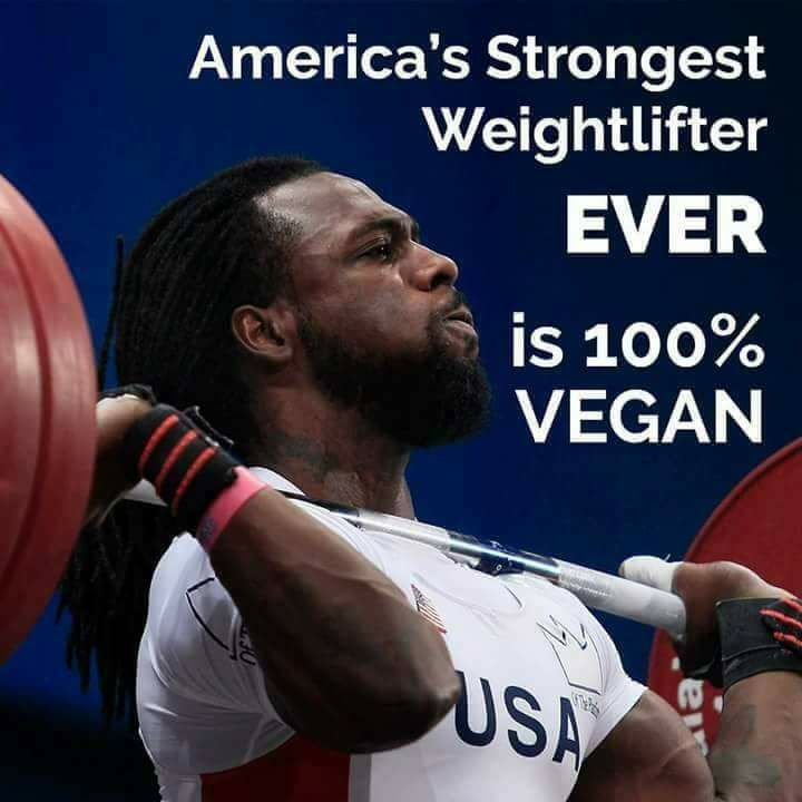 Ⓥ Vegan Activist Girl 🌱🐂🐟🐷🐒🐶🐺 (@vegan_girl_69) on Twitter photo 