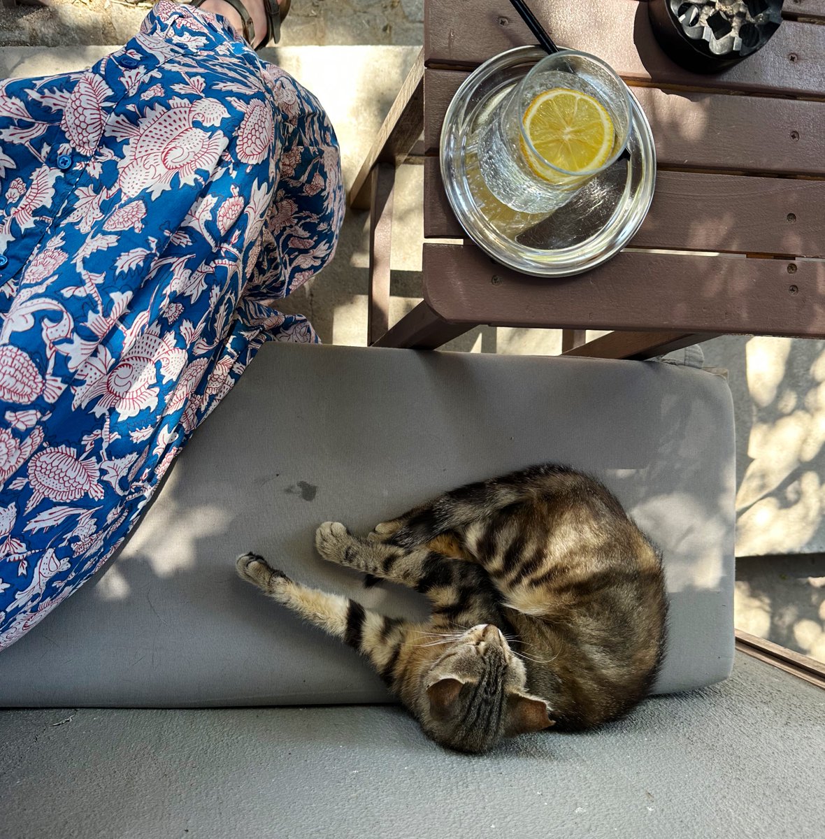 bintiismet's tweet image. yaz sabahı | ayvalık 🍋