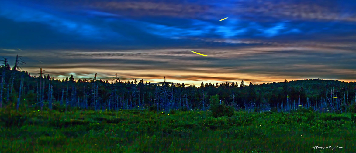 @ 10:27PM - over one hour past sunset - Fireflies start to takeover the evening's lightshow along Rt 114 near Fundy National Park #ThePhotoHour #StormHour #ShareYourWeather #sunsetphotography #WildlifePhotography