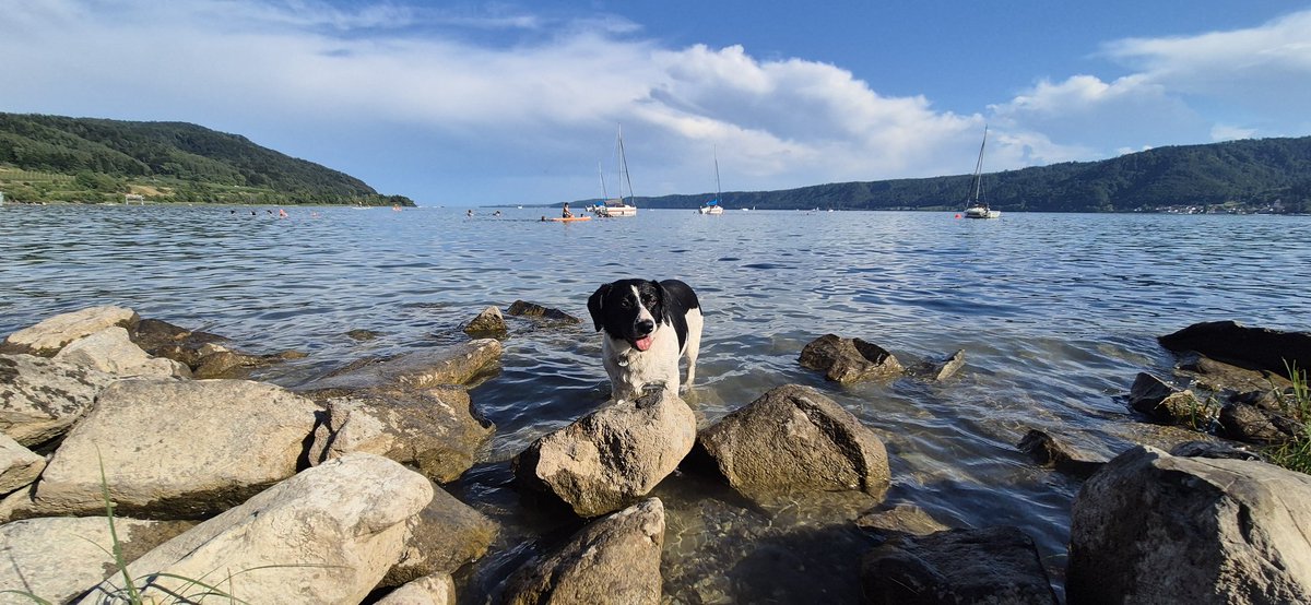 Beautiful lake. Clean and supplies drinking water to 4 million people.
Filthy lake full of 4500 hours of raw sewage pumped in by the "water" company.
One is Lake Constance. The other is Windermere.
Someone needs to pay. 
keithclarke.co.uk