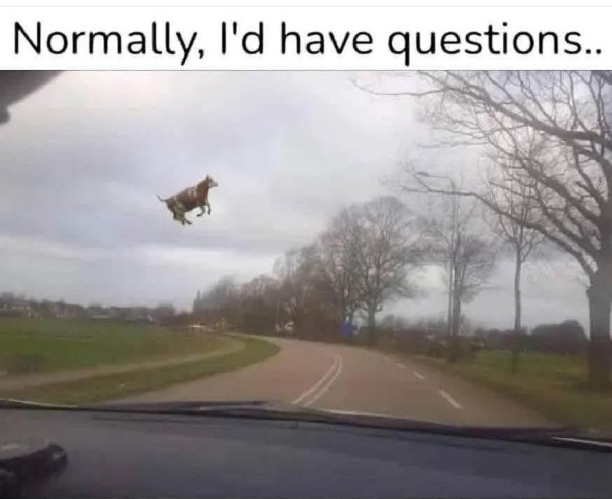 After 6 years in crypto, sh*t like this started to look like another normal day, so I will keep driving 😅