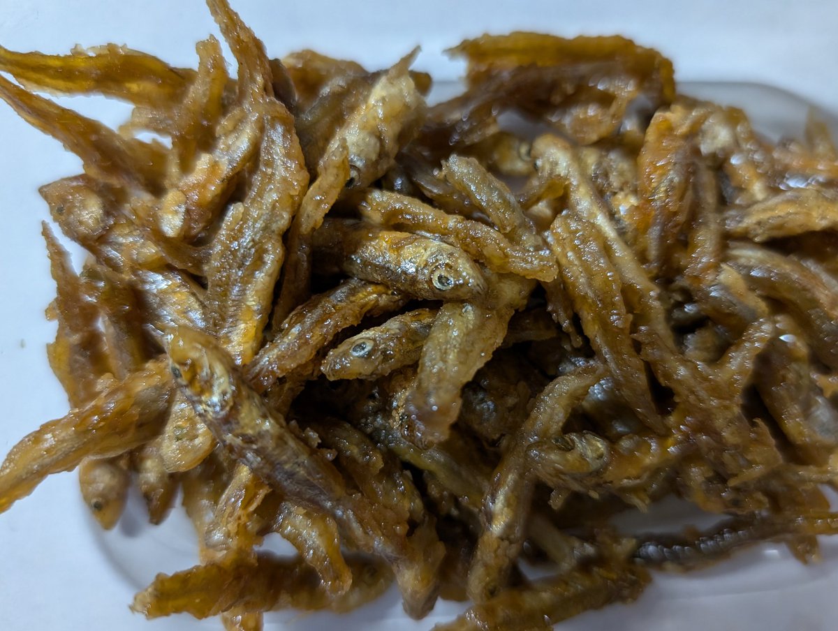 午後2時過ぎ
県南に向かった。
初ジュンサイに初サザエ
三種町のワカサギの唐揚げ
スーパーも楽しい。