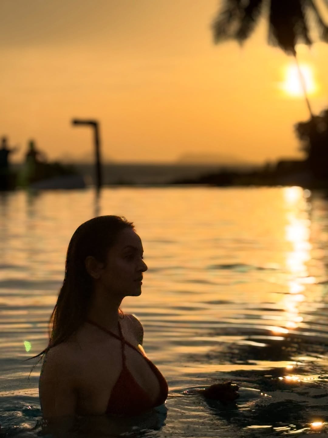 Gu7vLm6XEAAXbtV?format=jpg&name=large