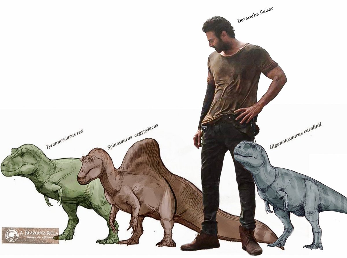 Murphy (@dhaproblematic) on Twitter photo Not Until the BIG 1 Enters !! Not Until the BIG 1 Enters !!