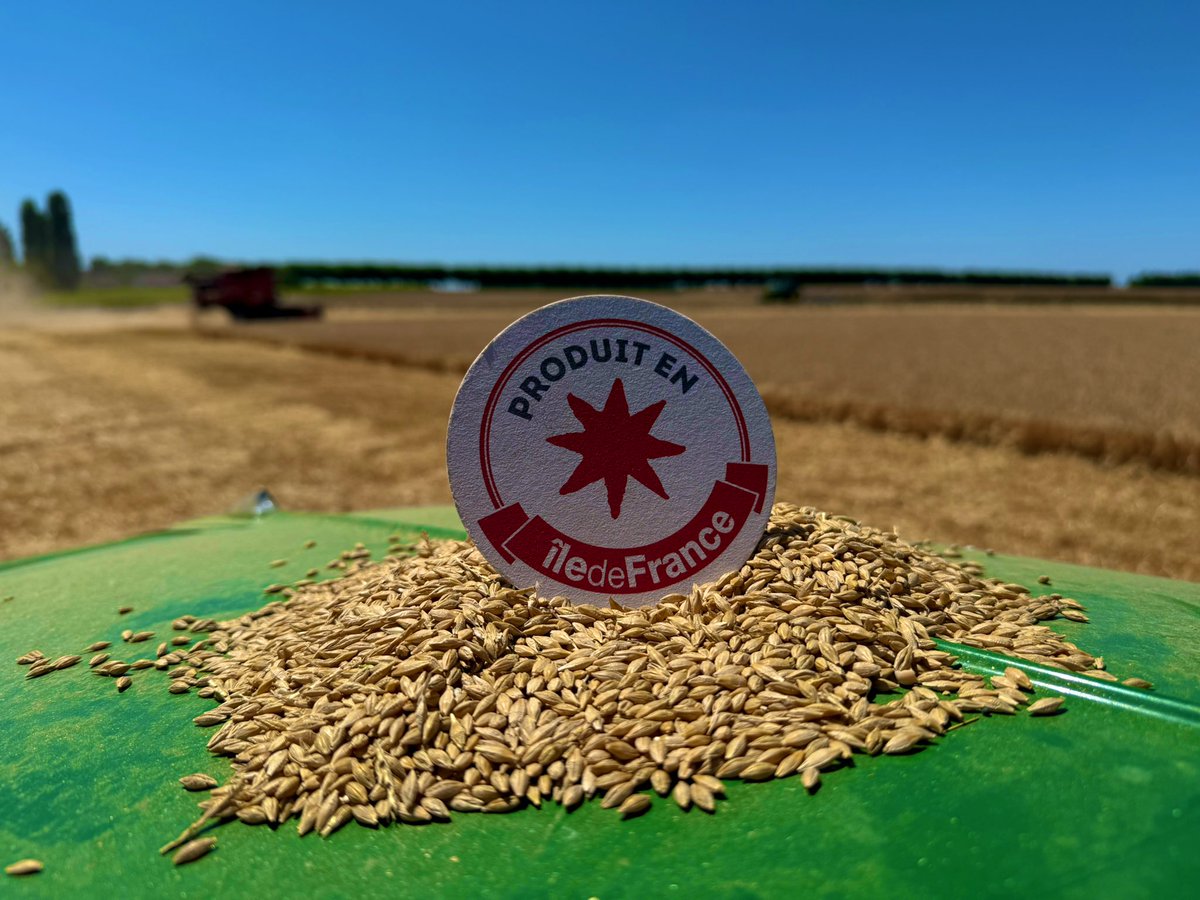 Torpier (@torpierc) on Twitter photo Le saviez-vous âde la moisson đ
Un hectare dâorge correspond Ă la production de 140 000 biĂšres.
<a href="/AgriculteursIDF/">AgriculteursIDF</a>
<a href="/iledefrance/">RĂ©gion Ăle-de-France</a>
<a href="/produitenIDF/">Produit en Ăle-de-France</a>
<a href="/AGPB_Cerealiers/">AGPB-Les Nouveaux Céréaliers</a>
<a href="/CAIDF/">Chambre d'agriculture de RĂ©gion IDF</a> Le saviez-vous âde la moisson đ
Un hectare dâorge correspond Ă la production de 140 000 biĂšres.
<a href="/AgriculteursIDF/">AgriculteursIDF</a>
<a href="/iledefrance/">RĂ©gion Ăle-de-France</a>
<a href="/produitenIDF/">Produit en Ăle-de-France</a>
<a href="/AGPB_Cerealiers/">AGPB-Les Nouveaux Céréaliers</a>
<a href="/CAIDF/">Chambre d'agriculture de Région IDF</a>
