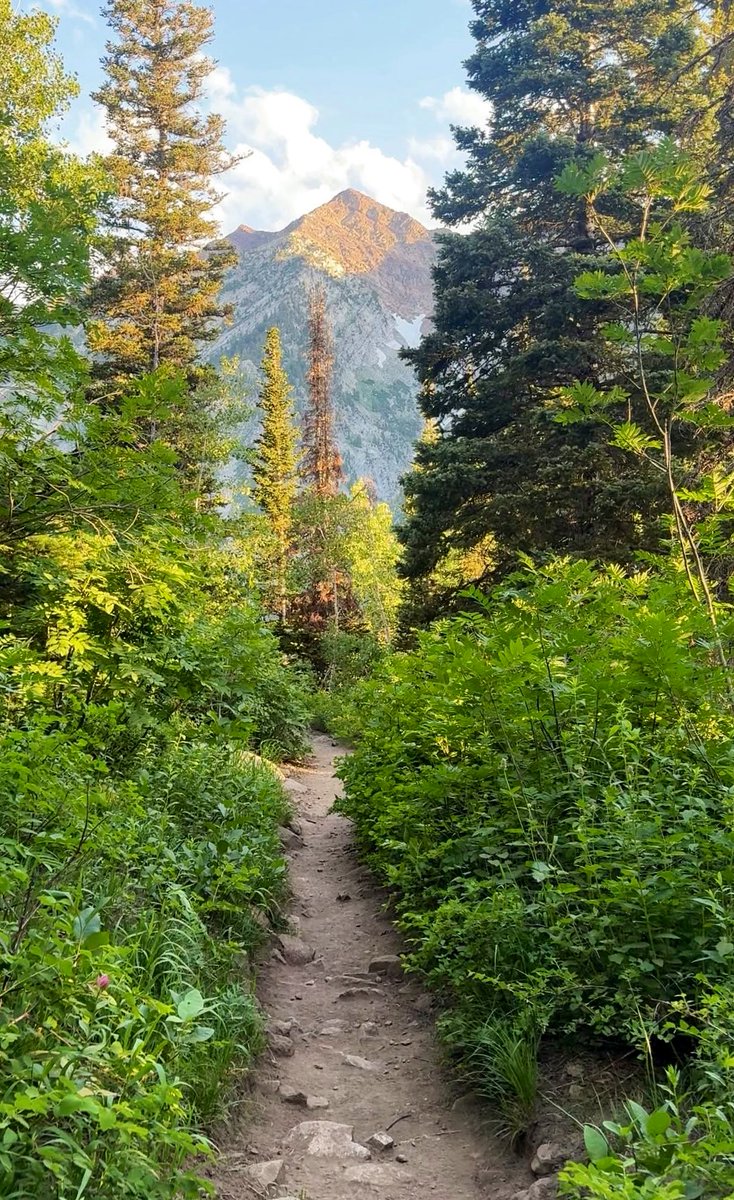 one step forward at a time, promise the view is worth it