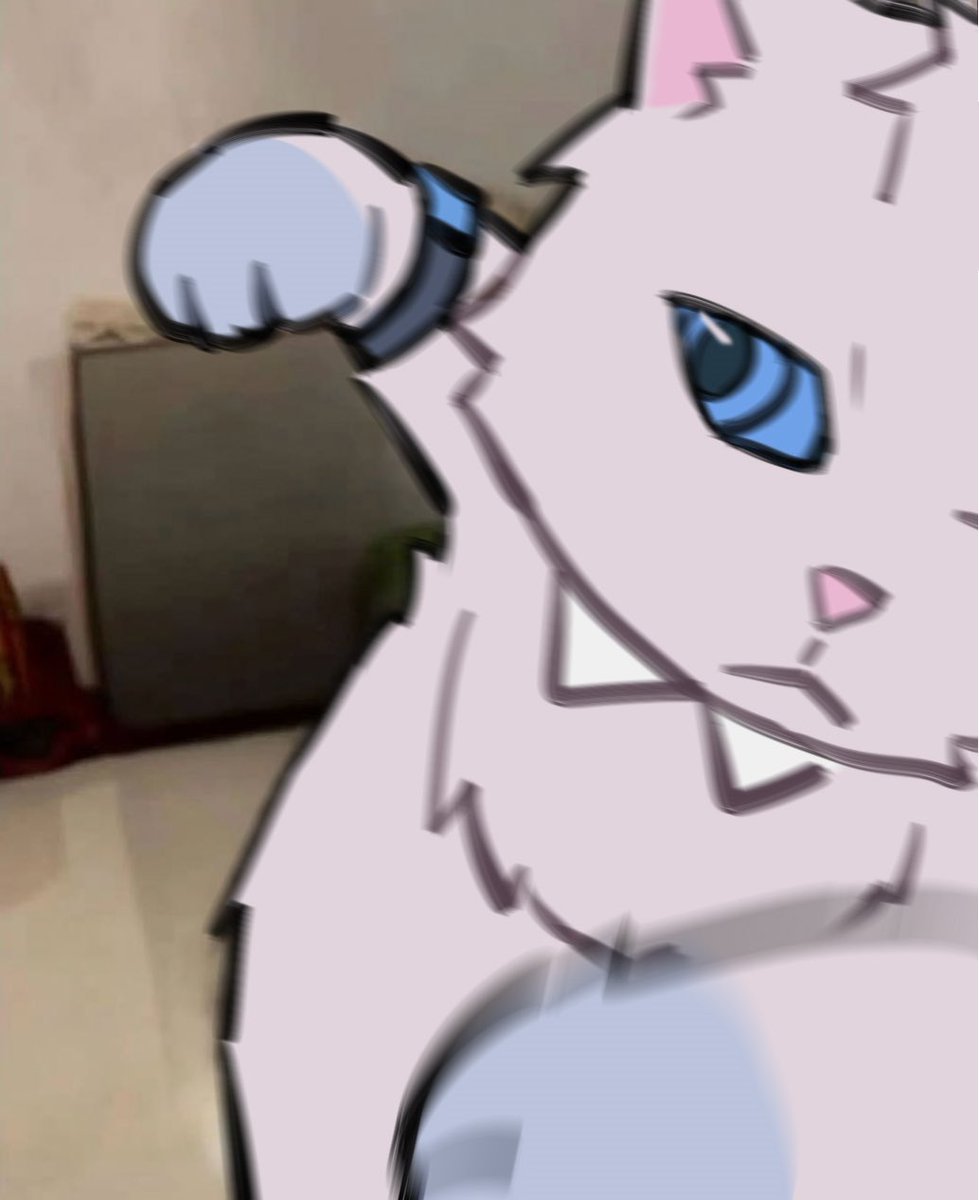 #Linkclick 
#catguang 
Meow meow punch 🐾