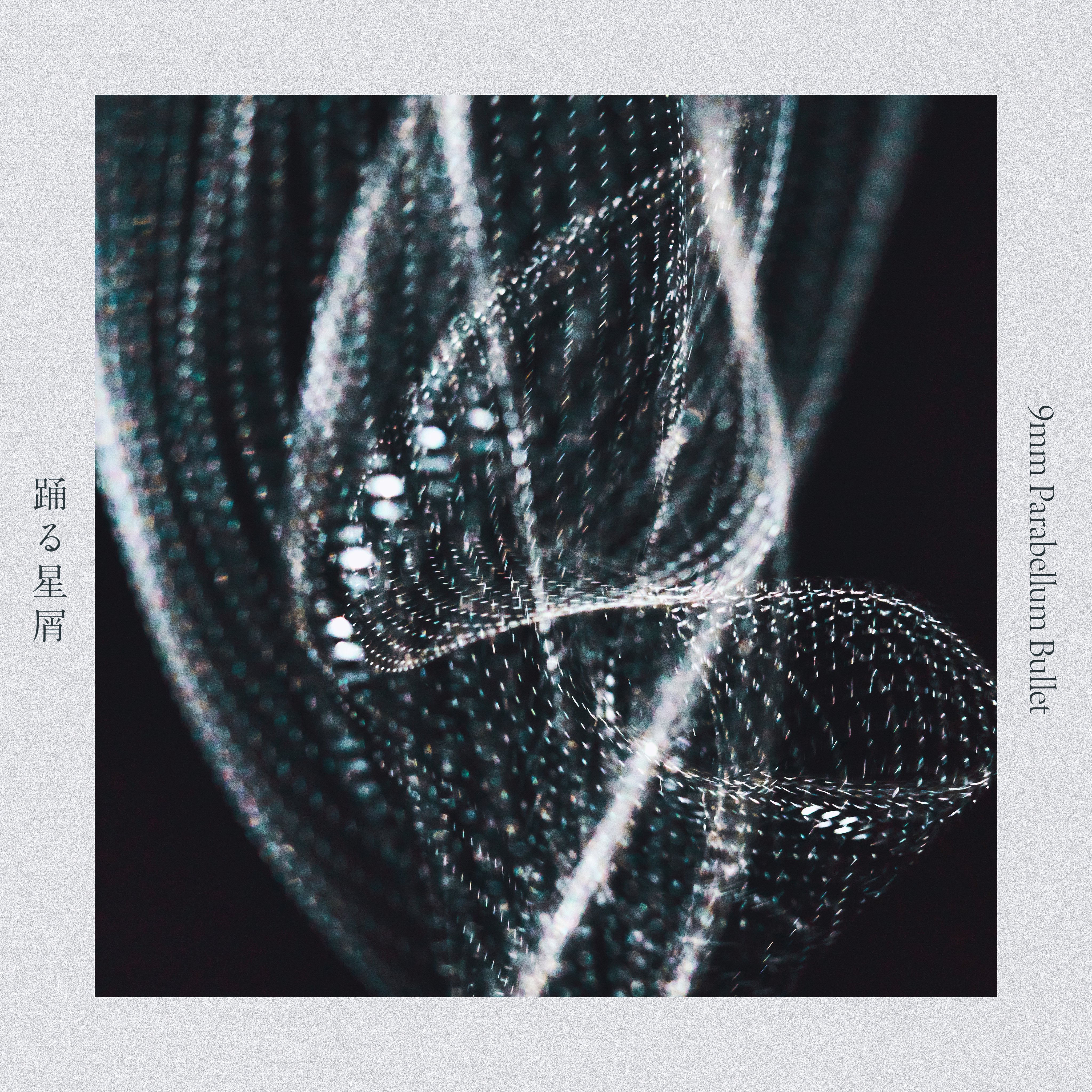 Ryotaro Kawashima︱河島遼太郎 on X: 
