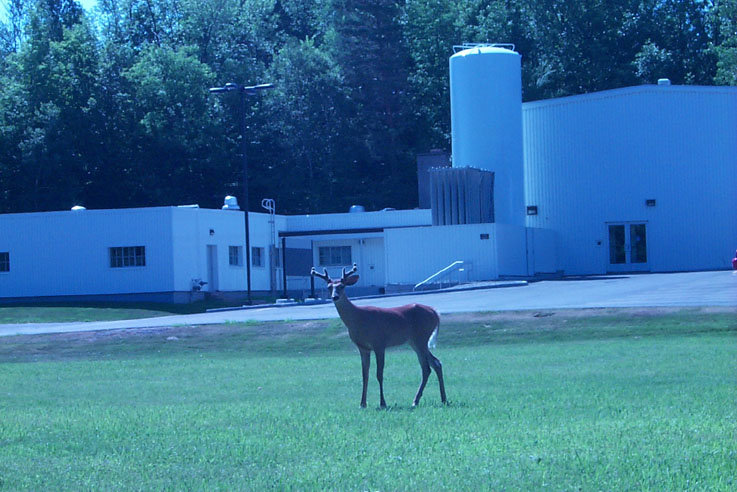 Magnetic Resonance News tweet media