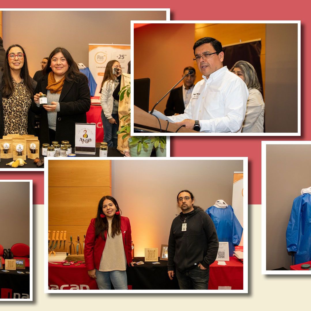 CircularTec tweet media