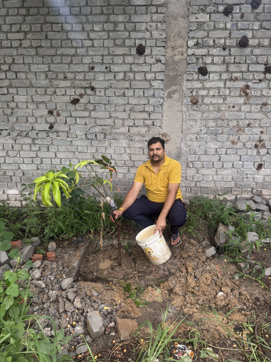 भोलेनाथ की कृपा से नोएडा में आम के पौधे रोपित किए
<a href="/worldgreendlp/">World Green Development</a> <a href="/UNEP/">UN Environment Programme</a> <a href="/UNBiodiversity/">UN Biodiversity</a>
<a href="/myogiadityanath/">Yogi Adityanath</a> <a href="/narendramodi/">Narendra Modi</a>
@Climate_CAPE <a href="/NoidaNovra/">NOIDA VILLAGE RESIDENTS ASSOCIATION - NOVRA</a> <a href="/Rotary/">Rotary International</a>