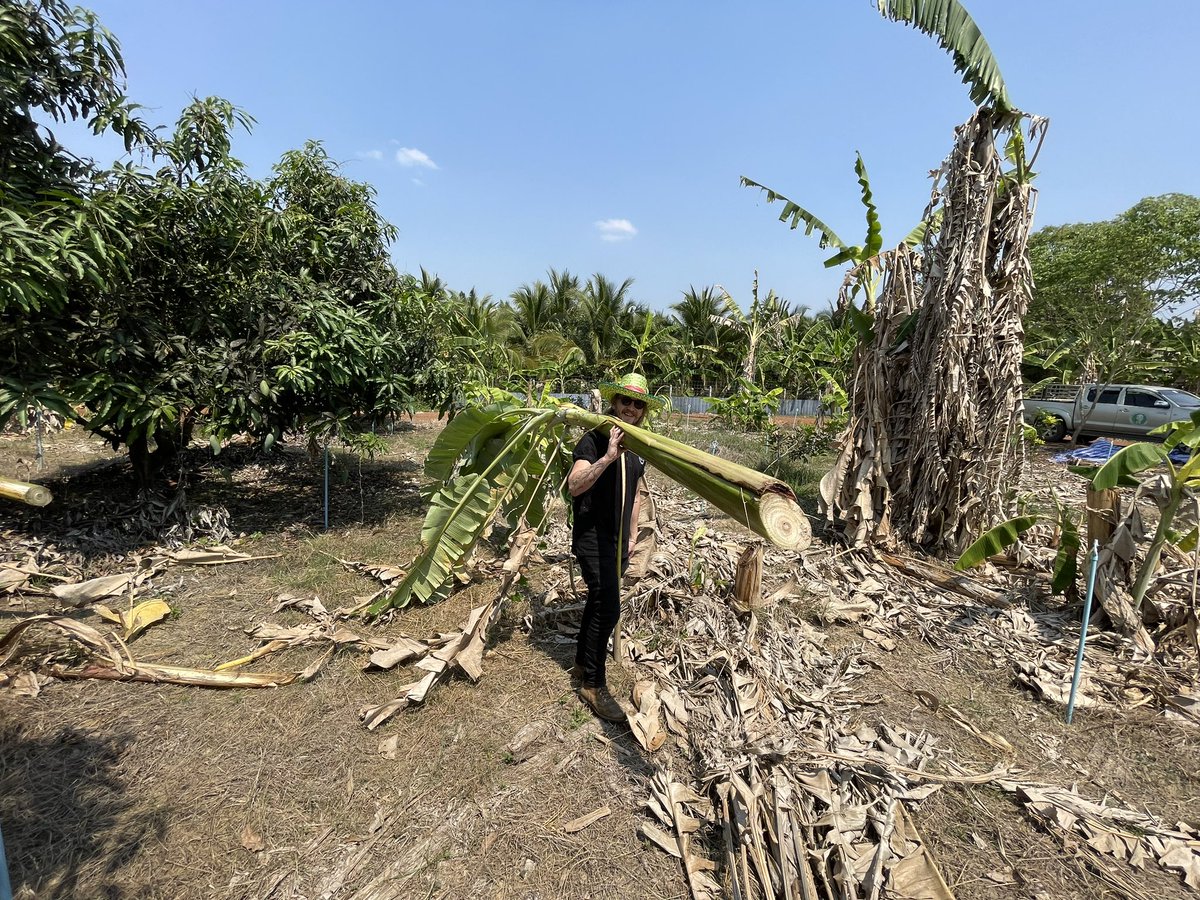When onchain goes offchain

Helping out elephant sanctuaries 🐘♥️

Building on <a href="/base/">Base</a> but sometimes we need to get our hands dirty when we can 🫶

*Did you know that elephants eat between 149 and 169 kg (330-375 lb.) of vegetation daily.