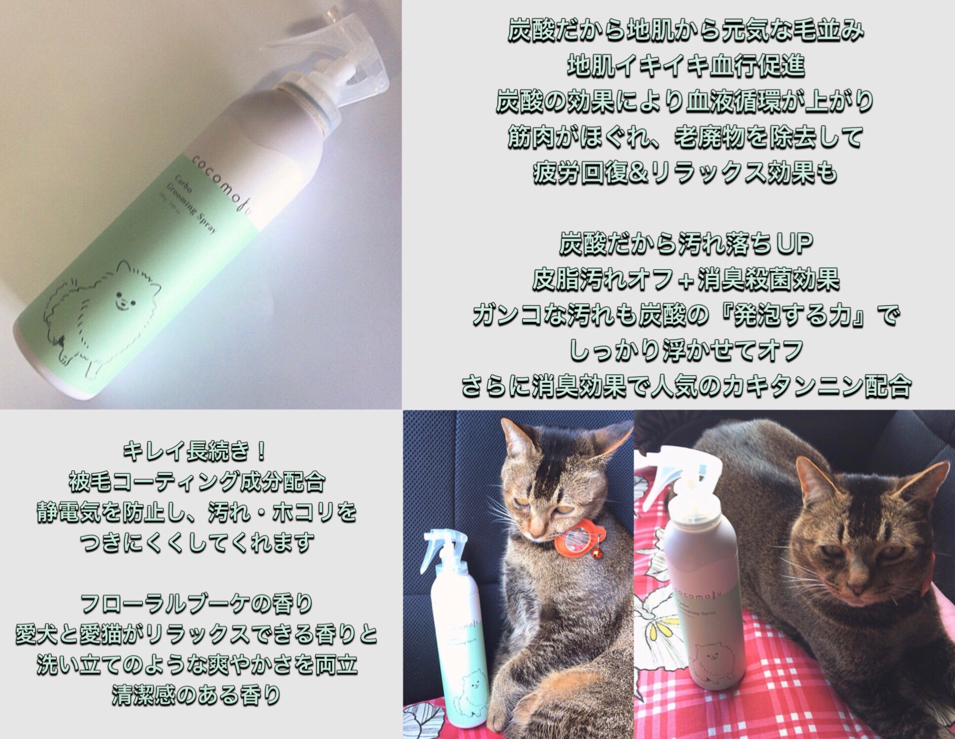 プリプリページです⭐︎ ラジドリ】Mikasuの Re-R HYBRID - YouTube