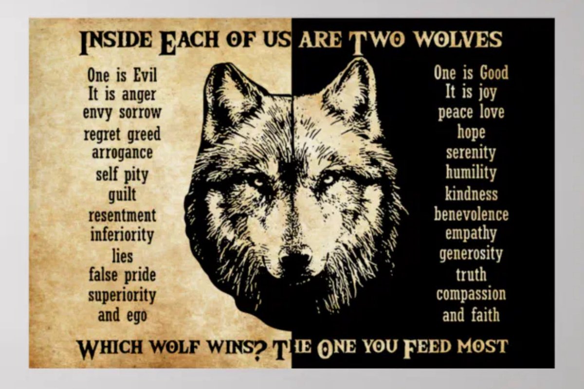 rollandtec tweet media