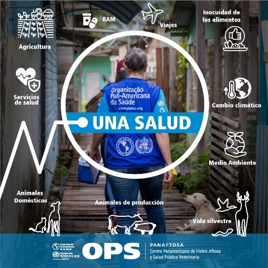 La OPS, a través d PANAFTOSA, cuenta con una trayectoria consolidada en cooperación técnica multisectorial para la prevención, control y vigilancia d las zoonosis, inocuidad alimentaria y resistencia a los antimicrobianos.
Para proteger la salud son esenciales enfoques integrados