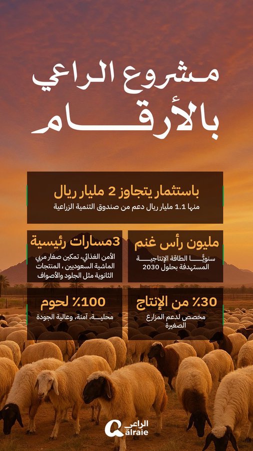 الصورة