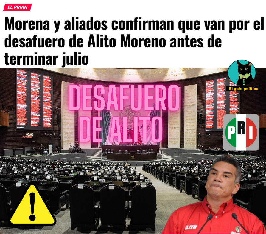 El gato político tweet media