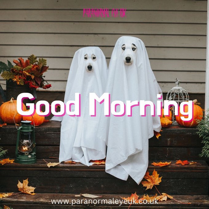 Have a great day, everyone #GoodMorning #today