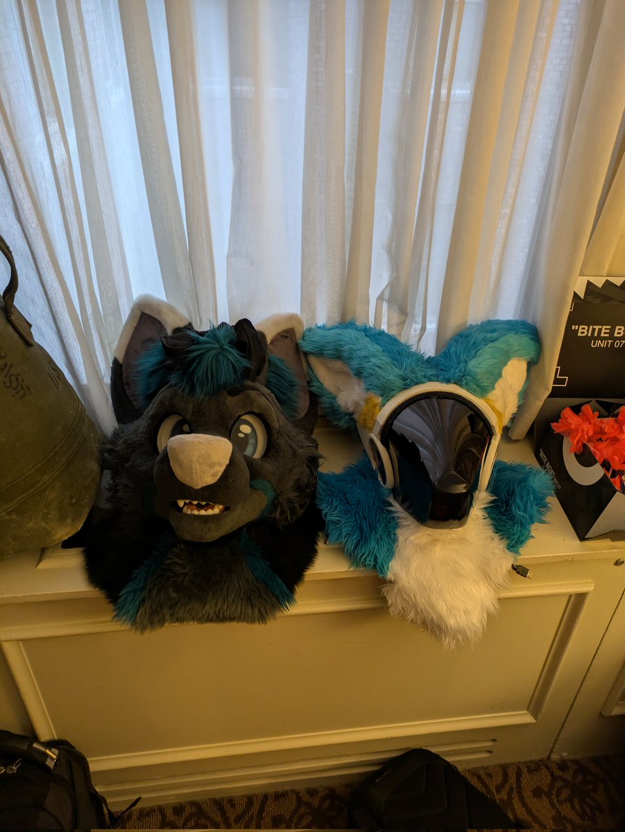 Anthrocon time 🐺🩵🖤