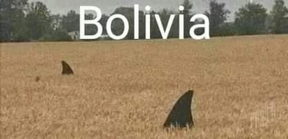 DROSS (@eldiariodedross) on Twitter photo 