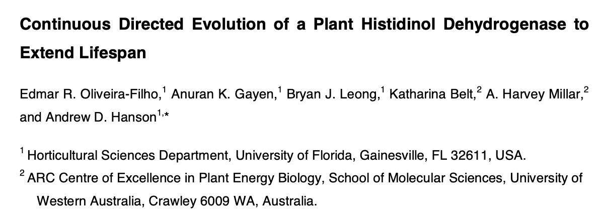 Edmar Oliveira-Filho, PhD👨🏻🔬 (@edmar_oliveiraf) on Twitter photo Excited to share the Hanson Lab’s <a href="/ADHansonLab/">Andrew D Hanson Lab</a> new preprint! We used OrthoRep to evolve Arabidopsis HDH, a short-lived enzyme, selecting variants with up to 20× higher abundance. Mutations boosted lifespan, catalytic efficiency, or inhibitor resistance.
🔗doi.org/10.1101/2025.0… Excited to share the Hanson Lab’s <a href="/ADHansonLab/">Andrew D Hanson Lab</a> new preprint! We used OrthoRep to evolve Arabidopsis HDH, a short-lived enzyme, selecting variants with up to 20× higher abundance. Mutations boosted lifespan, catalytic efficiency, or inhibitor resistance.
🔗doi.org/10.1101/2025.0…