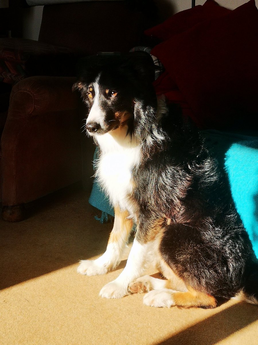 Kay is coming off heat and is now showing all the boys her teeth.

Finn thinks he has a chance if he shows himself in his best light.