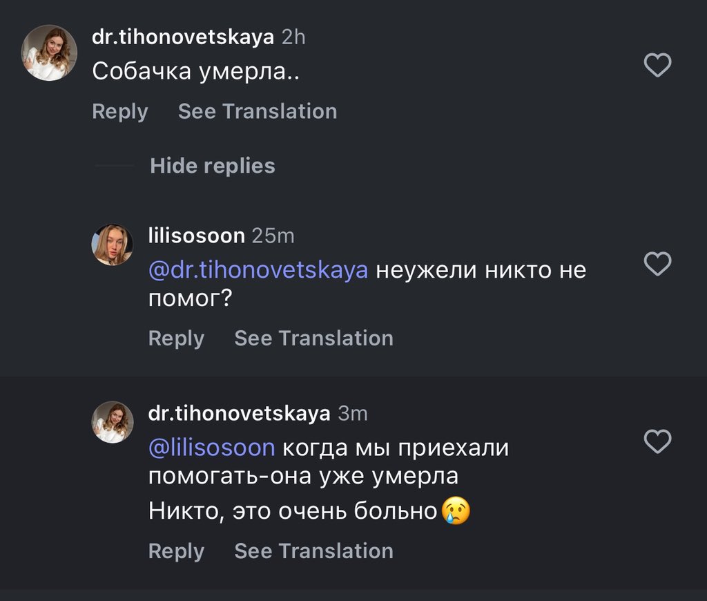 lilisosoon's tweet photo. я реву от этой истории, хоть и не знала эту собаку.
маленькая крошка задыхалась, её рвало от еды и воды, но ей никто не помогал несколько дней, а когда приехали, она уже умерла.

как блять успокоиться? мы её подвели, я чувствую себя такой виноватой блять это пиздец https://t.co/M2yEM2JLTS