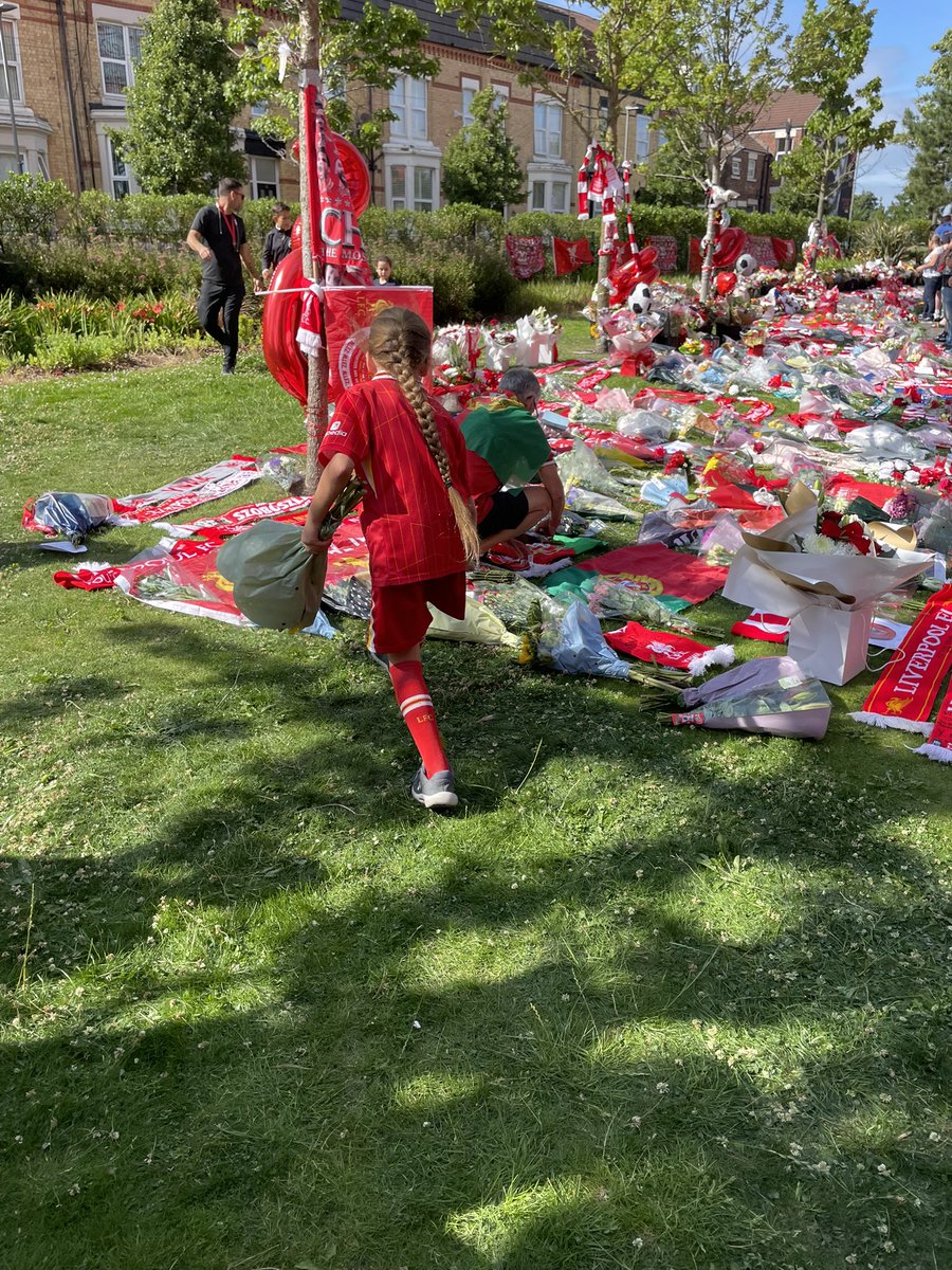 lfaimx's tweet image. RIP Diogo, our number 20.
You’ll never walk alone ❤️