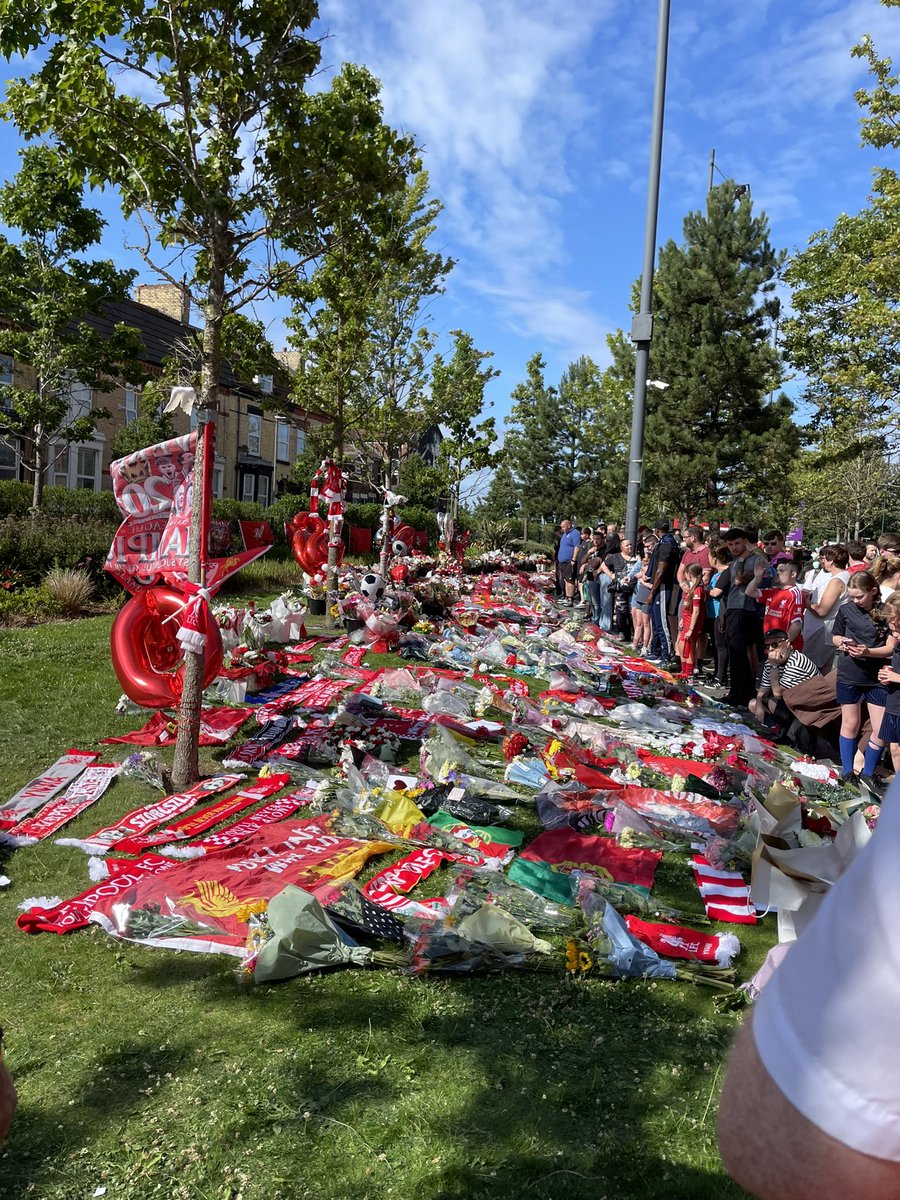 lfaimx's tweet image. RIP Diogo, our number 20.
You’ll never walk alone ❤️