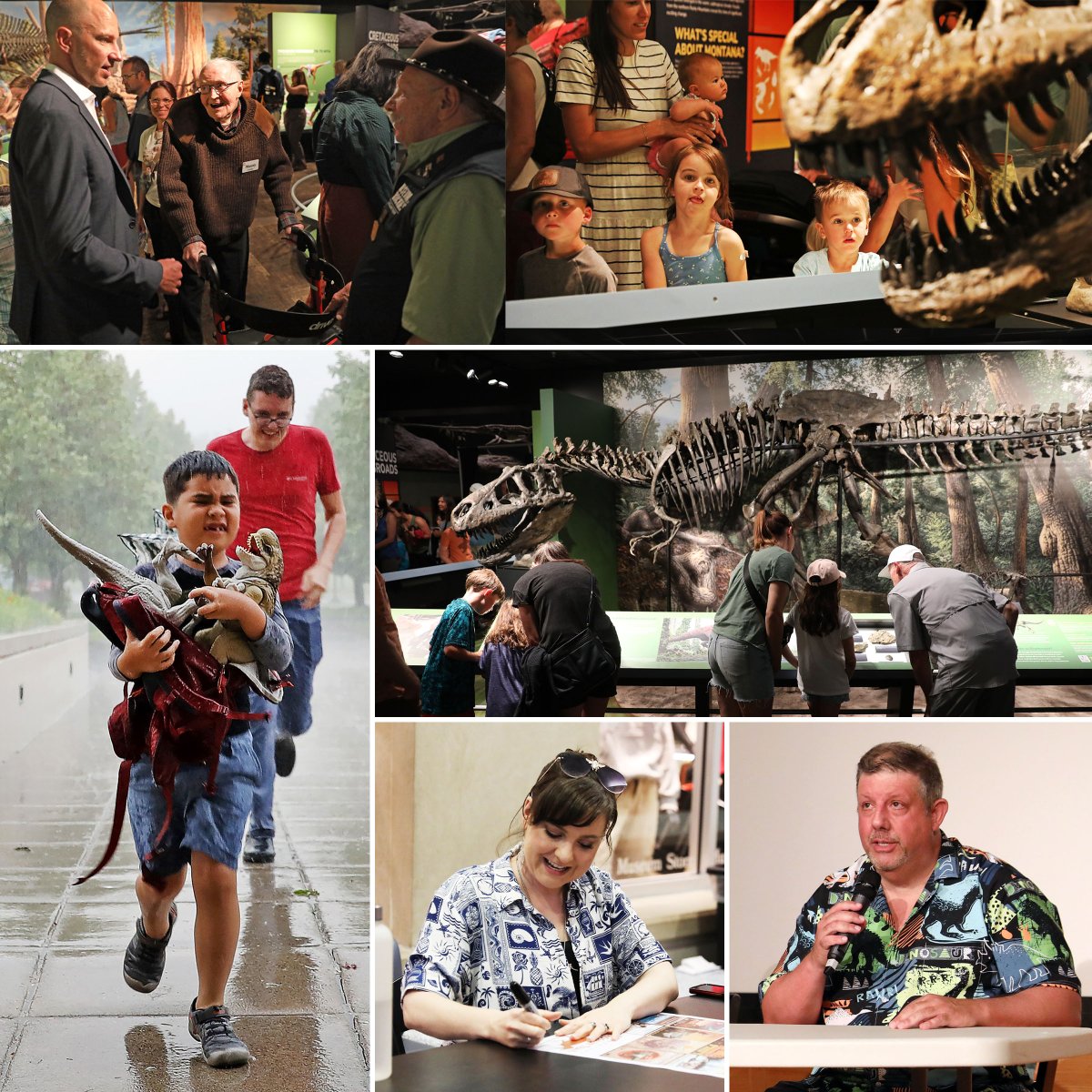 MuseumRockies's tweet image. 🦖 #Cretaceous #Crossroads is NOW OPEN! 🦕
From real #fossils to immersive environments, this brand-new #paleontology exhibit is a prehistoric experience like no other. #MOR