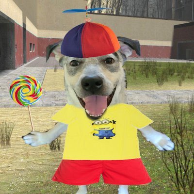 WastaKen tweet media