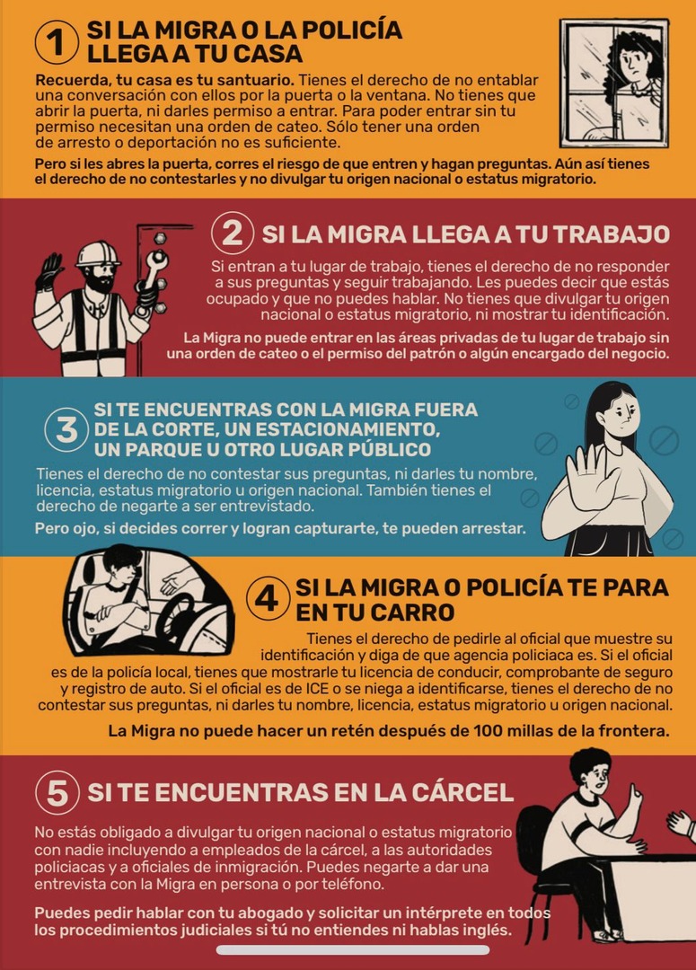 🚨 ¡Tus derechos te protegen! 🚨

Ya sea en la calle, tu casa o trabajo: tienes derechos.
🔒 No tienes que decir tu estatus migratorio
🗣️ Puedes guardar silencio
🚪 Nadie puede entrar a tu casa sin orden judicial

Más info en: somosunpueblounido.org/conoce-tus-der…