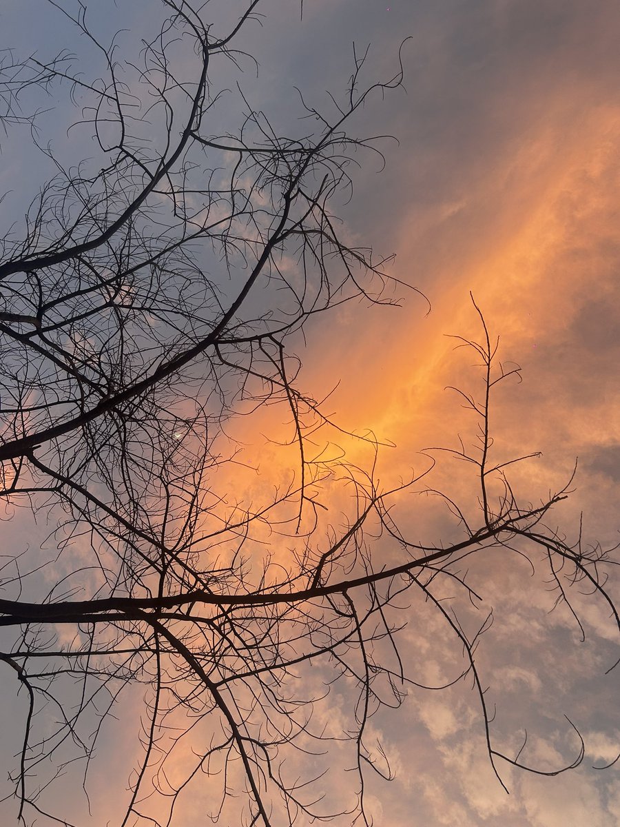 StutiIsConfused's tweet photo. You would almost not believe this was the sky at 8 pm today https://t.co/B5Bp465b0A