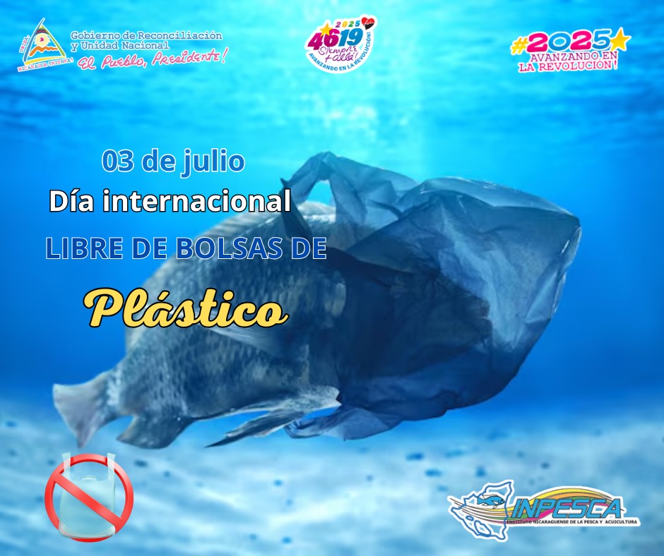 En el Día Internacional Libre de Bolsas de Plástico🌍♻️reflexionamos sobre el impacto negativo de las bolsas de plástico en el ambiente y en la vida. Desde #INPESCA, promovemos su reducción y eliminación, optando por alternativas sostenibles como las bolsas reutilizables.💡