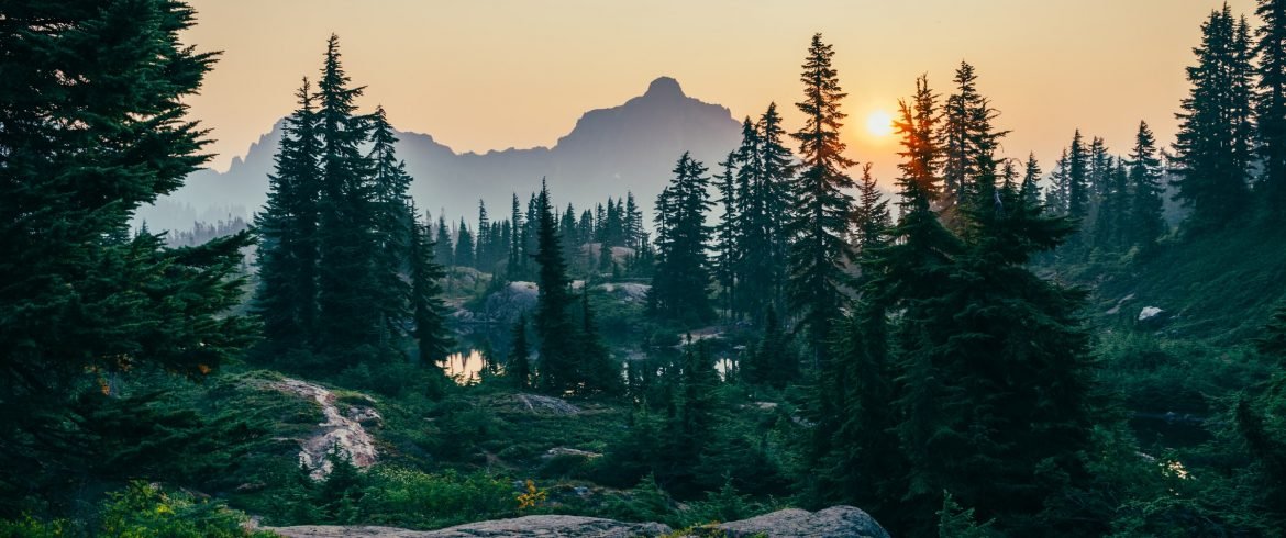 TheDeathHunt's tweet image. Paganism/Animism existed with the birth of Humanity.
It is Natural.
Unlike a Rabbi,his Jewish Gang and a Desert Religion.
And you always pick the second image...
Respect your Ancestors,Reject Abrahamic Religions.