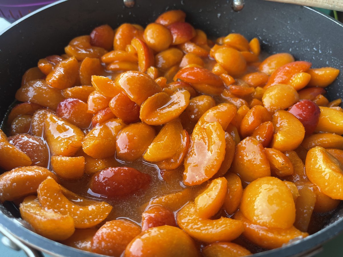 Swiss_Cathy's tweet photo. Confiture in progress… 👩🏻🍳
#confiture #marmelade
#abricot #abricotvalaisan
#Valais https://t.co/O7Q1TFujN2