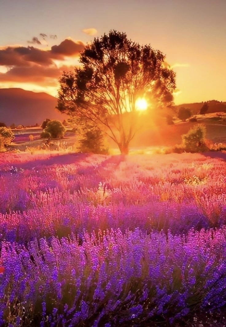 Good evening my friends !
#photos #evening #sunset