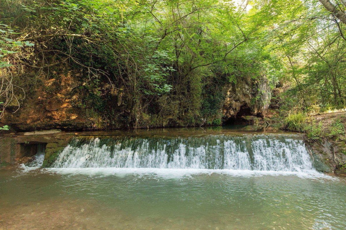 Anoia_Turisme's tweet photo. 💦 El Rec, la Resclosa o les Coves de l’Anoia, espais naturals perfectes per a un vespre fresc i tranquil.

🌅 Gaudeix de la natura quan baixa la calor!

#anoiaturisme #espaisnaturals #vespres #escapatalanoia #slowtourism #bcnesmoltmes https://t.co/ECXsLnwRjG
