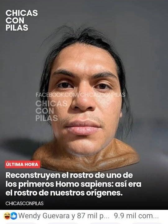 Hasta la Wendy reacciona a mis memes.😂🤣🤣